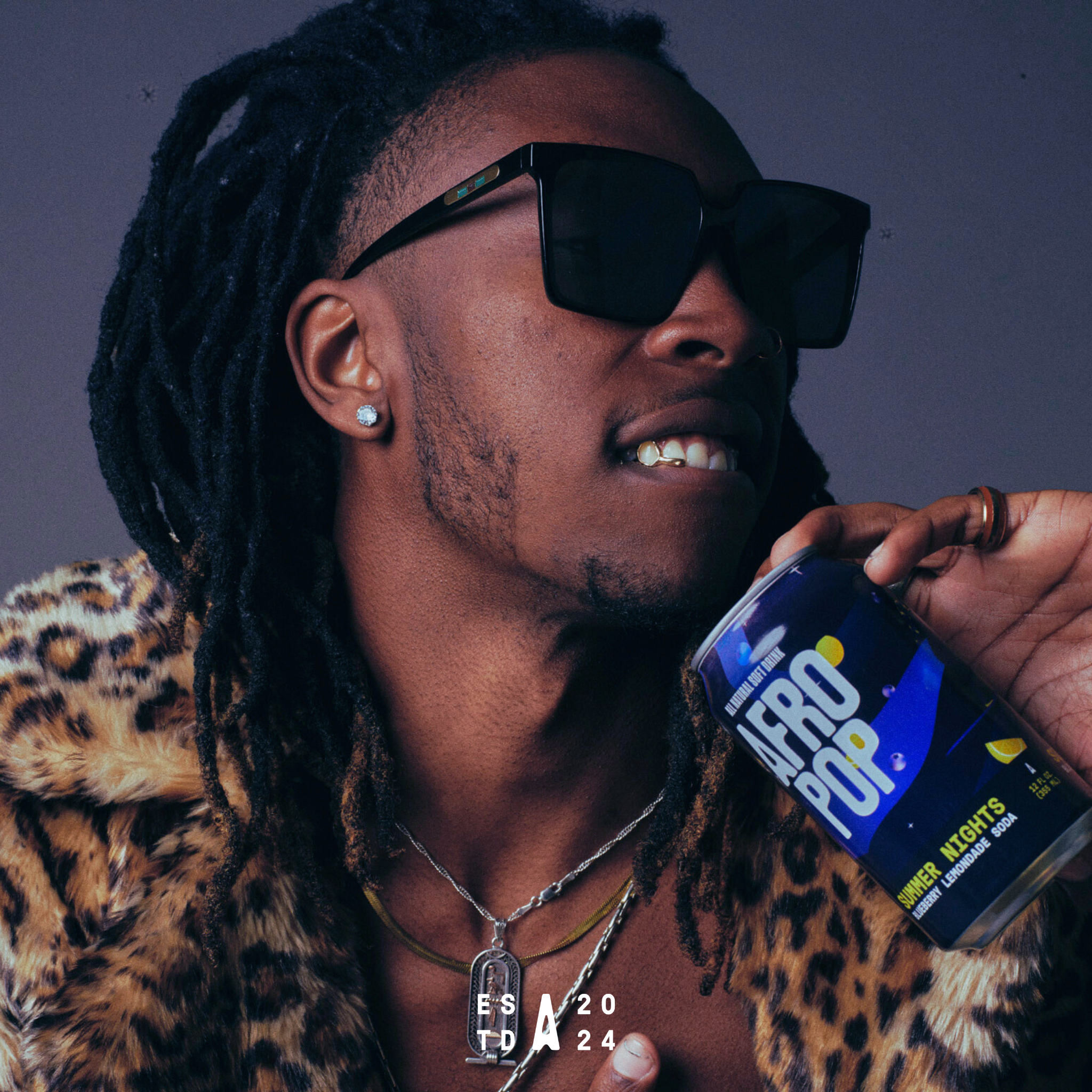 Summer Nights: Blueberry Lemonade Soda 12-Pack – AFROPOP Summer Nights: Blueberry Lemonade Soda 12-Pack – AFROPOP